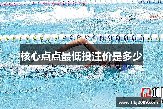 核心点点最低投注价是多少